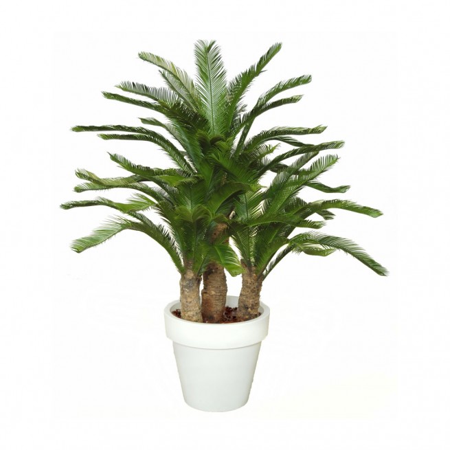 Planta semi-artificiala Ila, Cycas Drago Lux Green - 150 cm